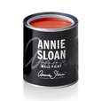 Annie Sloan Muurverf Riad Terracotta 120 ml