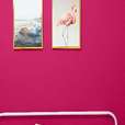 Annie Sloan Muurverf Capri Pink muurverfpakket