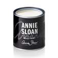 Annie Sloan Muurverf Pure White 120 ml